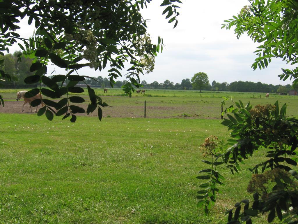 De Zandkant Biezenmortel Exterior foto